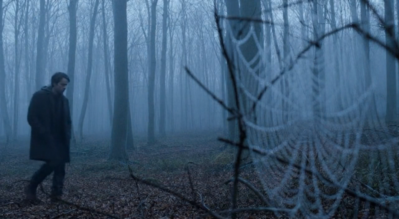 Between the Mist and Trees